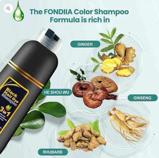 Herbal Instant Black Hair Shampoo – Grey Coverage + Shine Boost (2 Bottles)